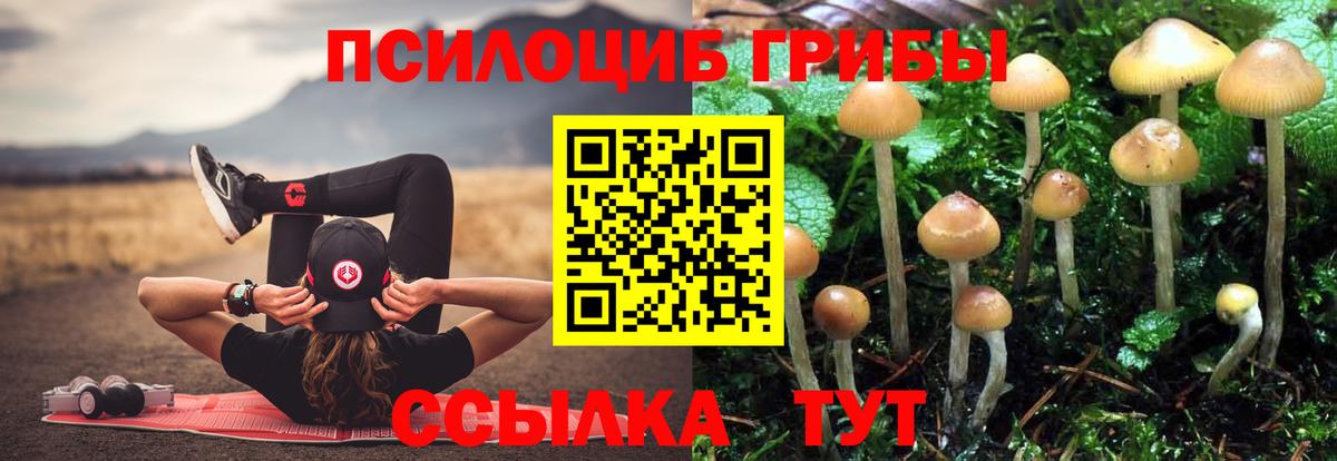 Шатура  Галлюциногенные грибы Magic Shrooms  Вход с VPN 